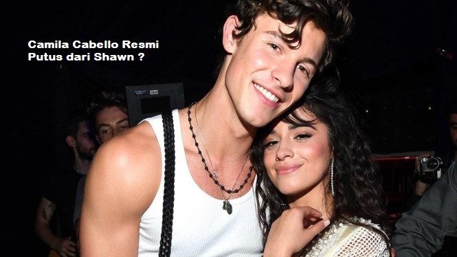 Camila Cabello Resmi Putus dari Shawn