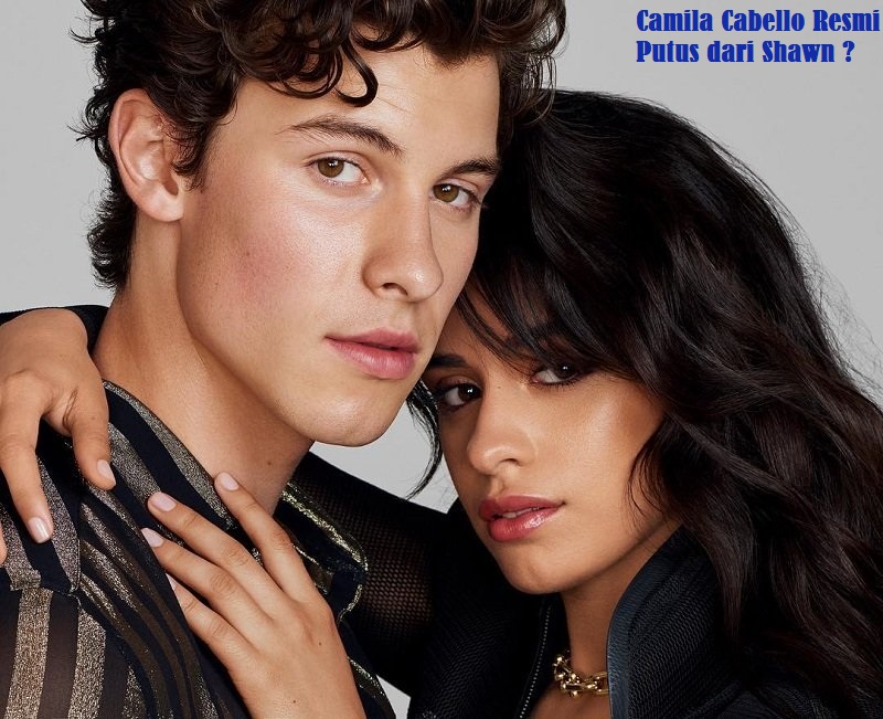 Camila Cabello Resmi Putus dari Shawn ?